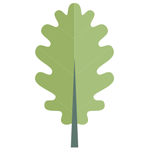 ilustrace list stromu